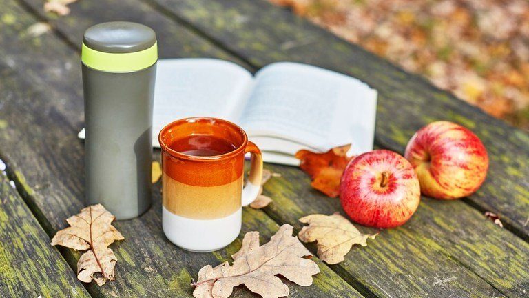 Top 5 bình nước giữ nhiệt dễ thương giá tốt cho bé yêu đi học