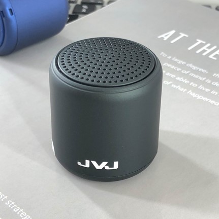 Loa JVJ