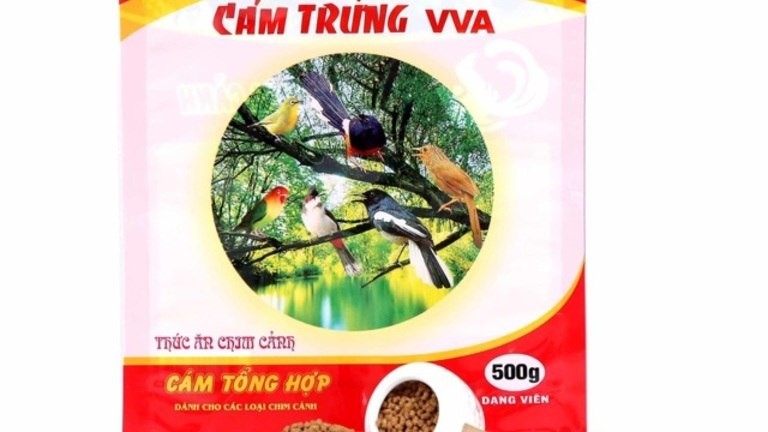 Cám Vương Việt Anh