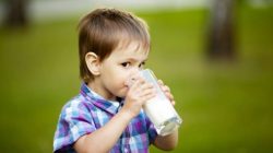Top 5 các loại sữa dạng thanh tốt nhất hiện nay 2022